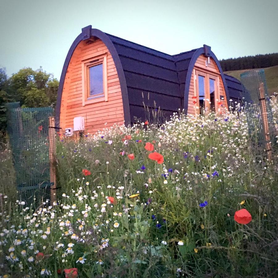 Clova Pod, Kilry Eco Pods Ξενοδοχείο Blairgowrie and Rattray Εξωτερικό φωτογραφία